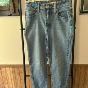 Levi Strauss Blue Skinny Jean (27)